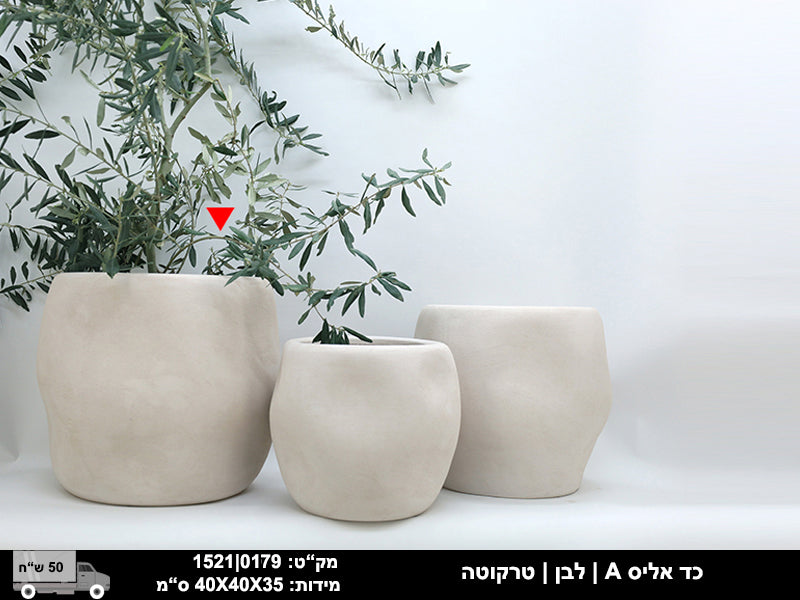 כד אליס לבן