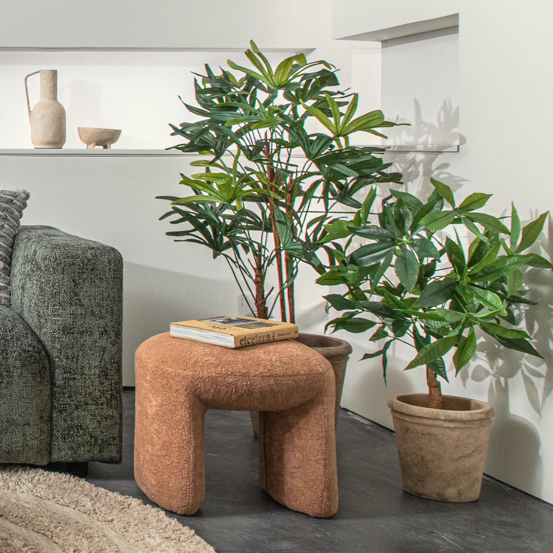 הדום שייה פודרה