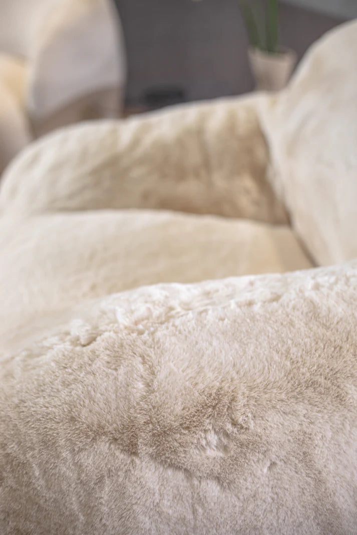 כורסא קלאוד קטי