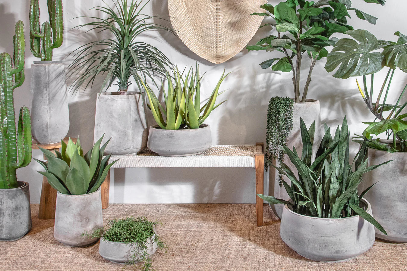 כד פלנטר סטון קטן