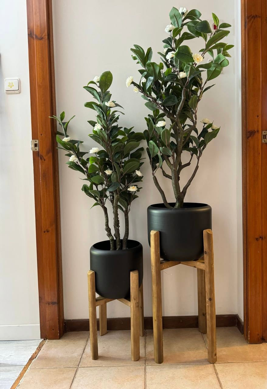 מעמד עציצים