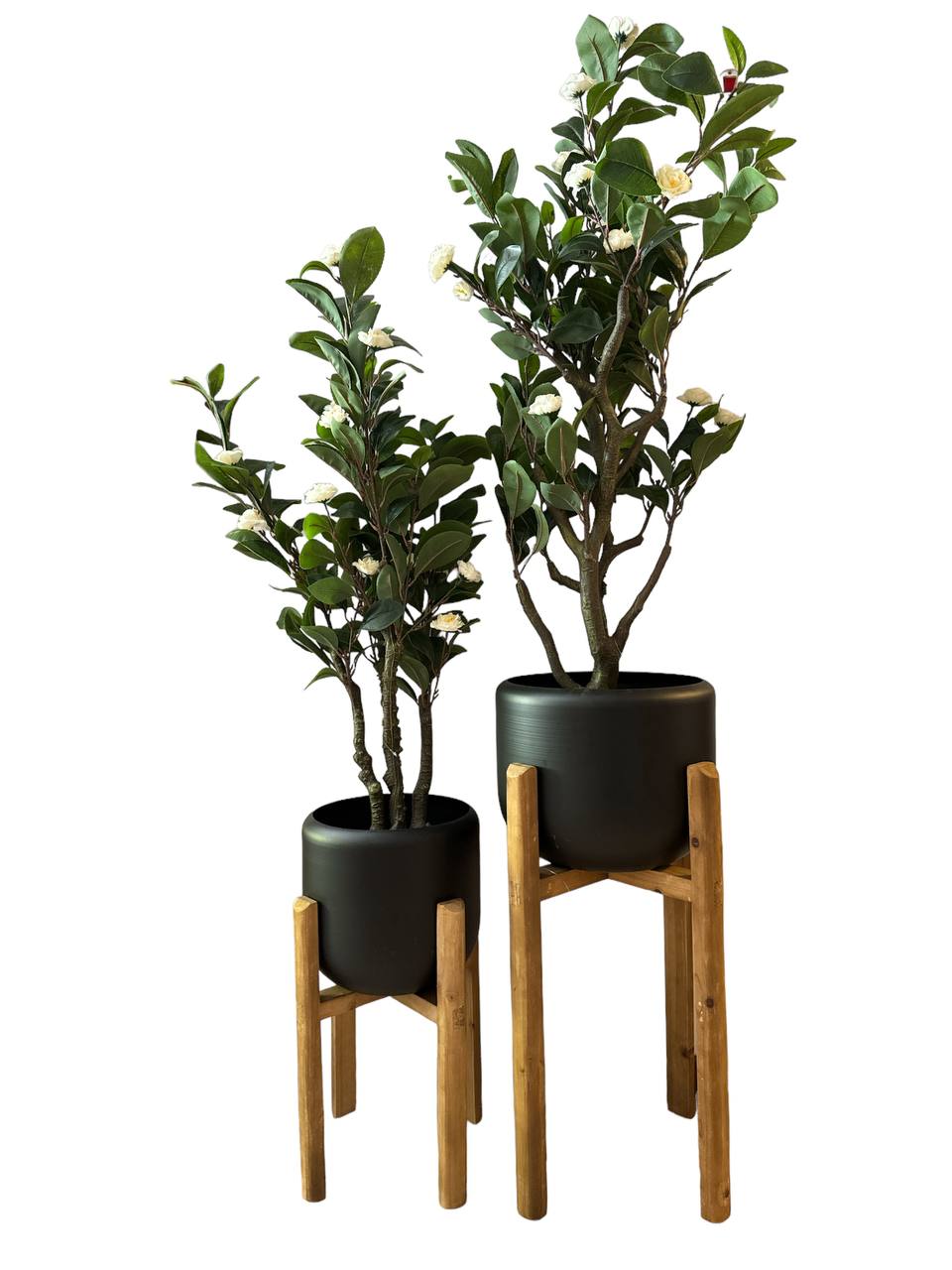 מעמד עציצים