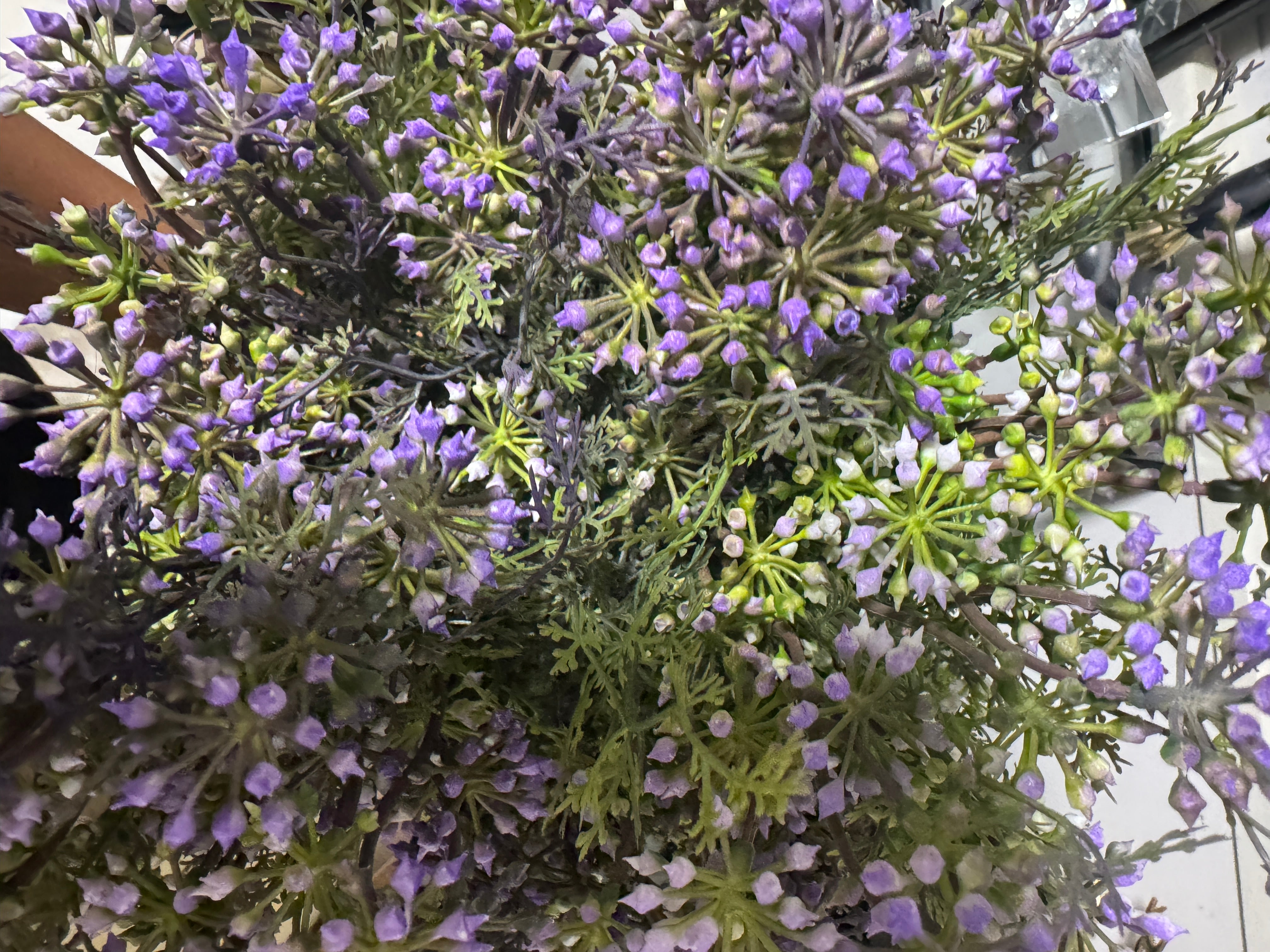 בוקט עלים פרפל