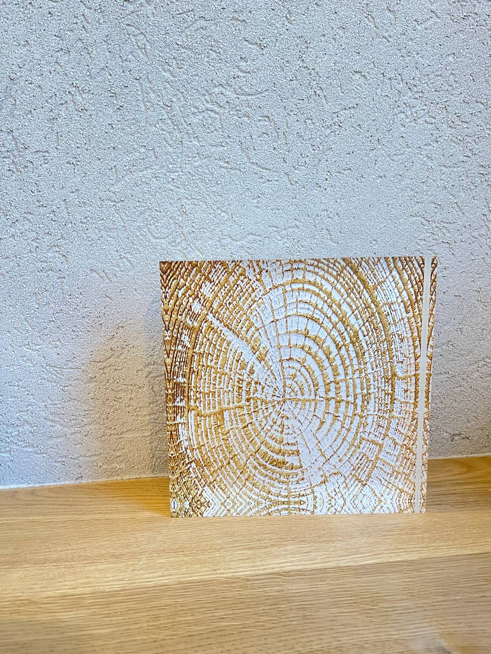 בלוק זכוכית -גזע עץ