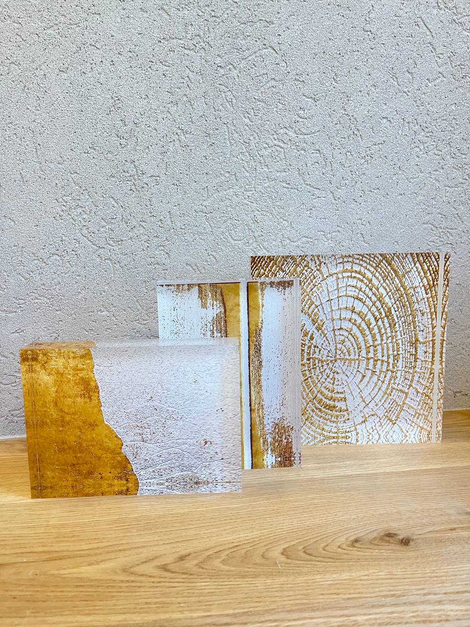 בלוק זכוכית -גזע עץ