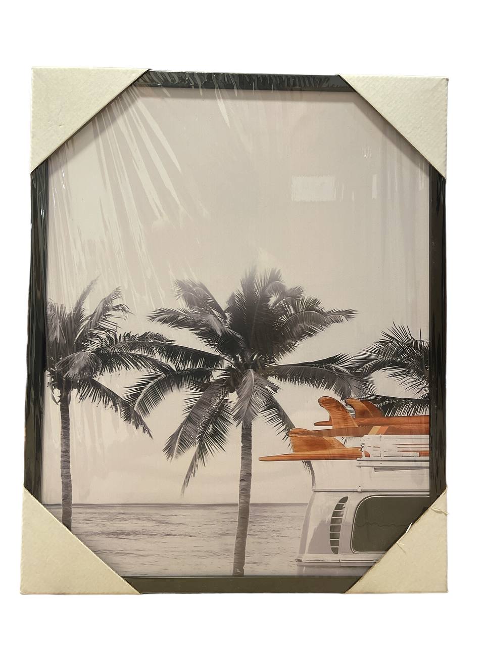 דקלים שחור לבן נגיעת צבע