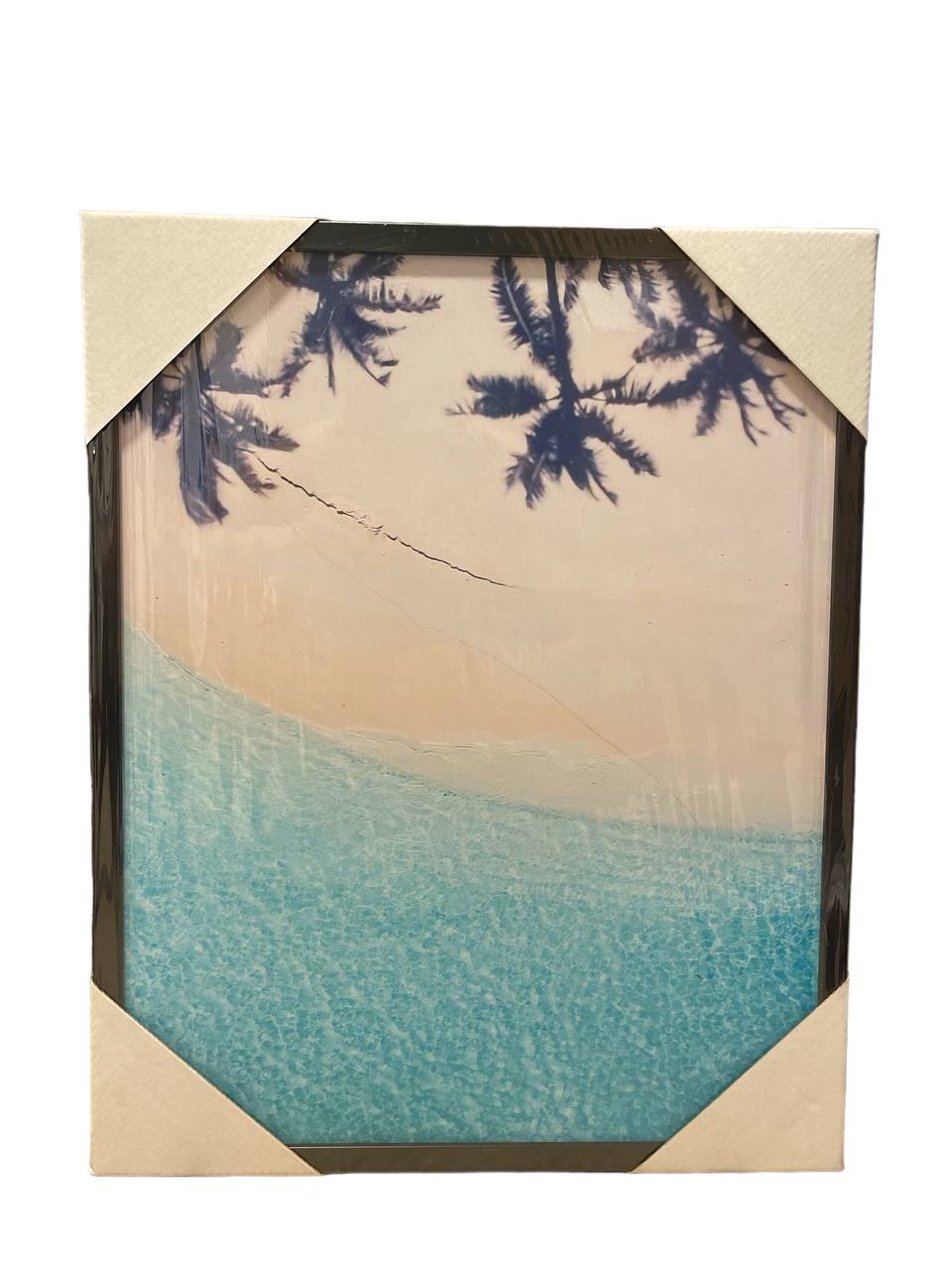 ים צל דקלים