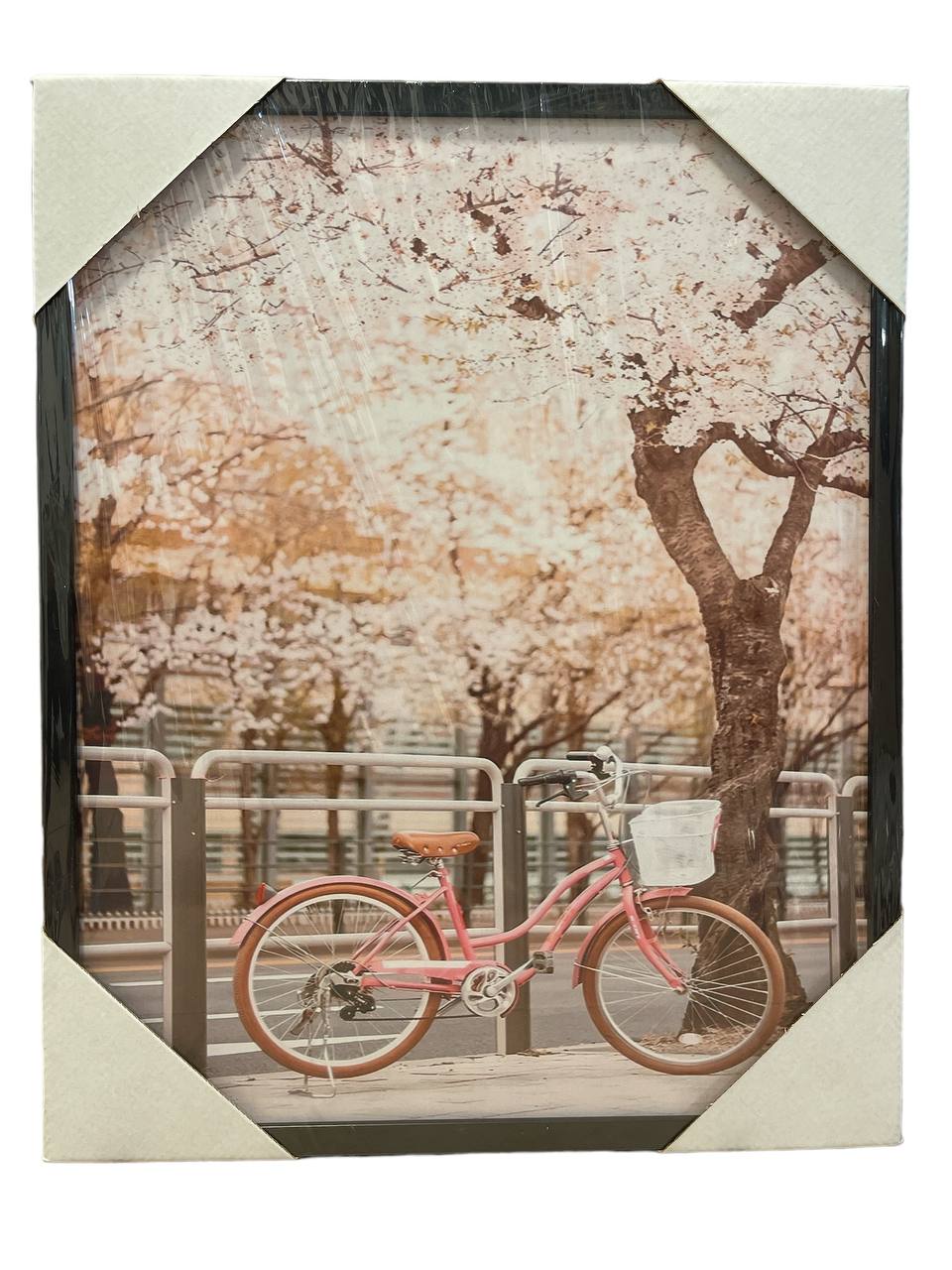 אופניים ורודות