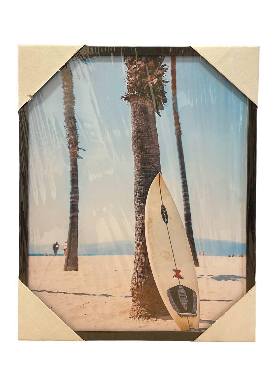 גלשן עץ דקל