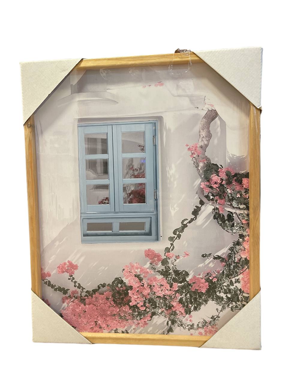 חלון בניין גריס